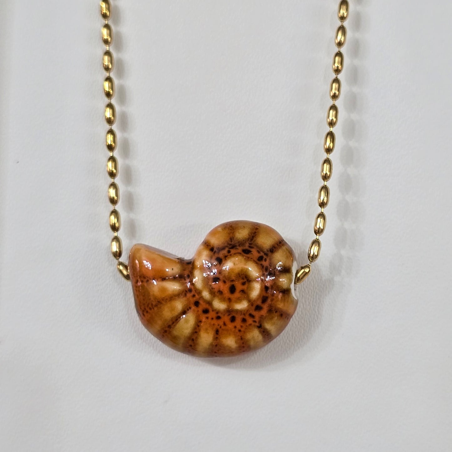 Caracol marron