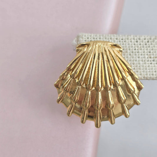 Aretes concha