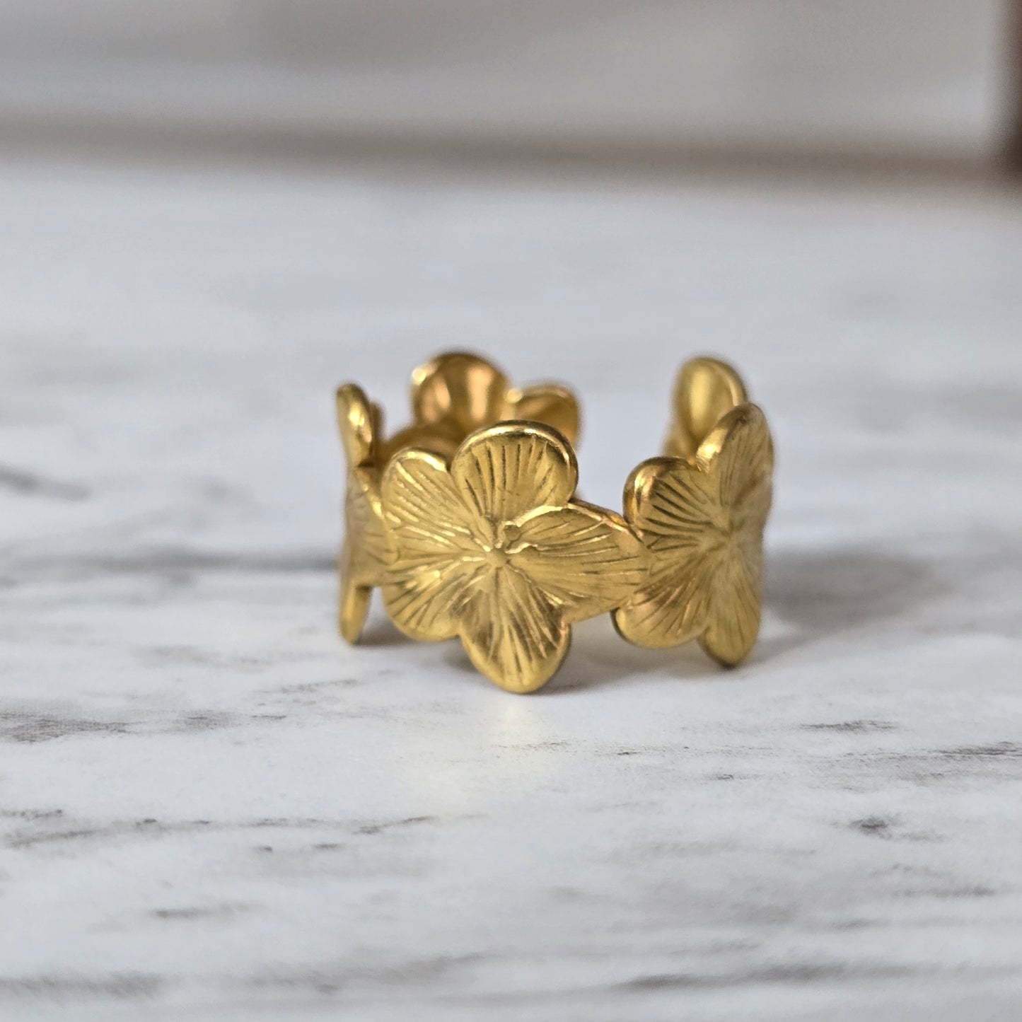 Anillo ajustable 08